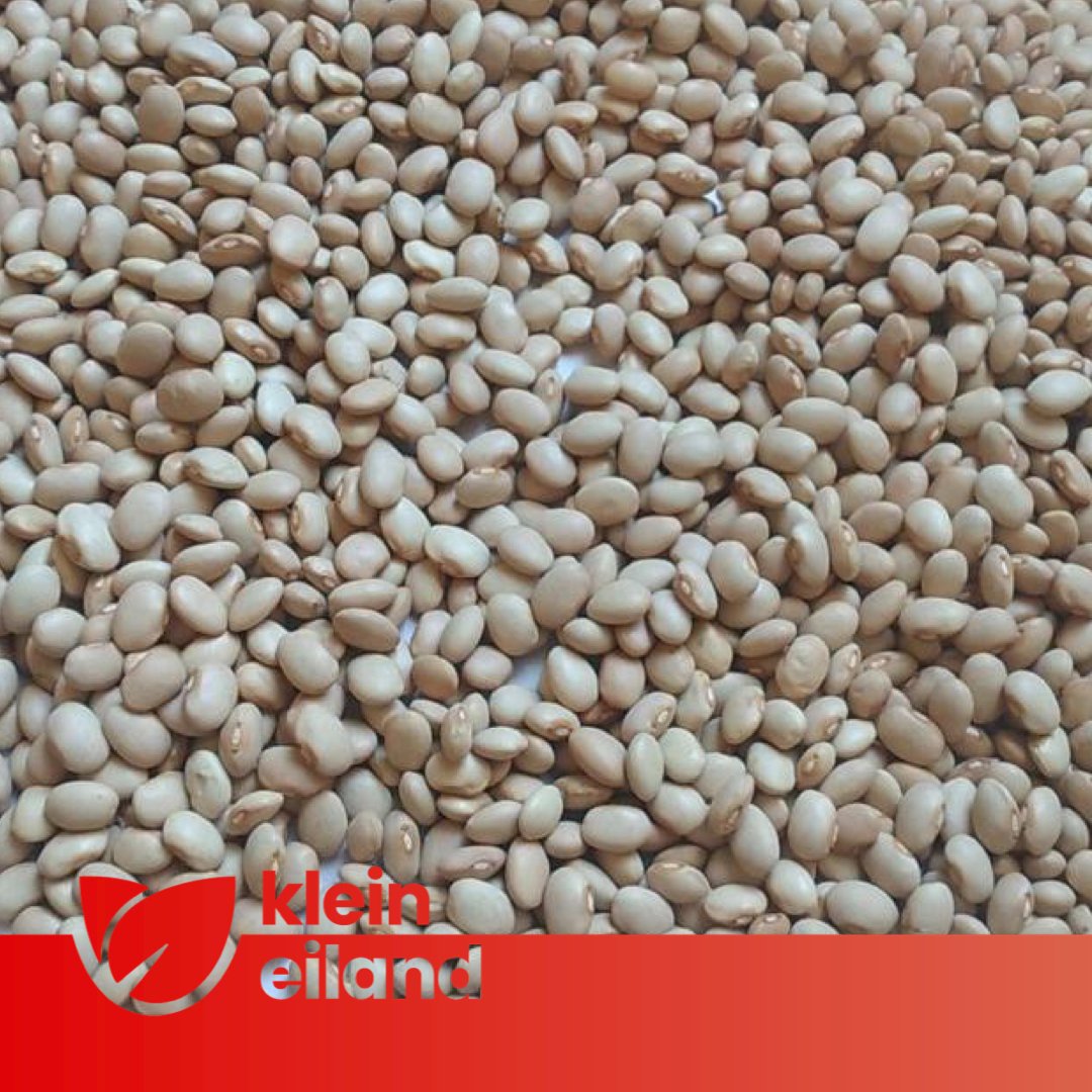 EilandKlein's tweet photo. New Crop Available!
Ethiopia Cream Beans/Cremini 🇪🇹
Please contact us for more information.
Let's bridge together...
HQ L. Line: +90 850 220 4052
Mobile /W: +33 7 82 83 25 46
trade@kleineiland.com
https://t.co/afpaFfKJK6
#kleineiland #creambeans #cremini #beans #ethiopia https://t.co/PLA8N44r53