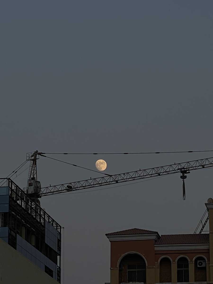 akaNouniii's tweet photo. Yesterday’s full moon 🌕 https://t.co/fDZv06z5gH