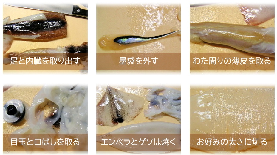 イカの捌き方 Twitter Search Twitter イカの捌き方 Twitter Search Twitter