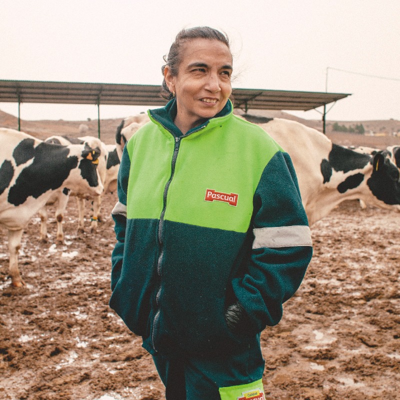 Pascual's tweet photo. “Las vacas son muy buenas” dice Leonor Patricia Arias con una amplia sonrisa, mientras acaricia a Happy en la granja de Fuentespina, donde trabaja junto a Gloria Emilsen, ordeñando y manejando con mucho cariño para lograr la mejor @Lechepascual_es. #DarLoMejor