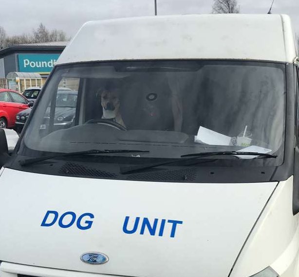No Context Brits (@nocontextbrits) on Twitter photo 