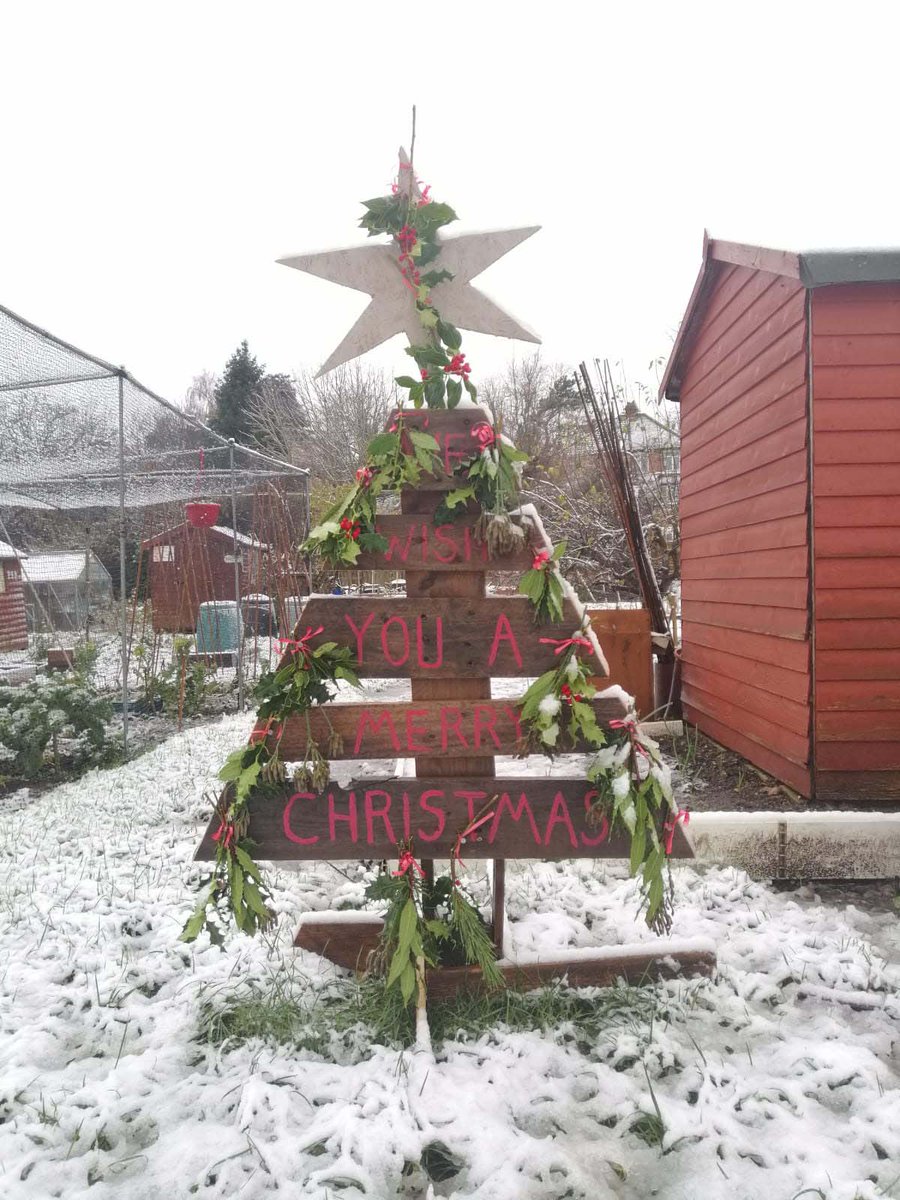 CafeLevel's tweet image. Level Best Christmas order forms Available Now!
mailchi.mp/9bc503882fe5/t… 🎅🎄🎁