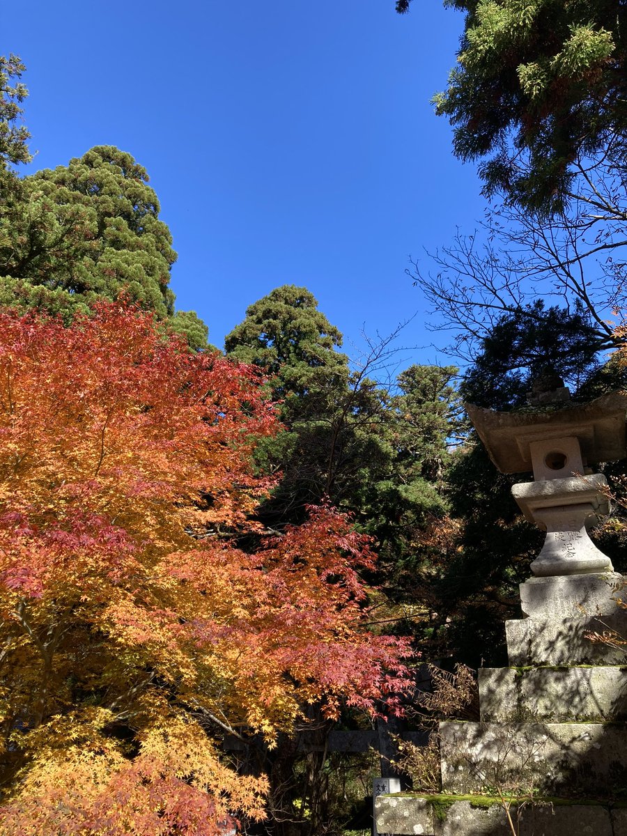 zzsatsukizz's tweet photo. 秋🍁深まりまた溶けそう🫠
もしくわ老けたか👨🏻‍🦳 https://t.co/FOEDvyc93f