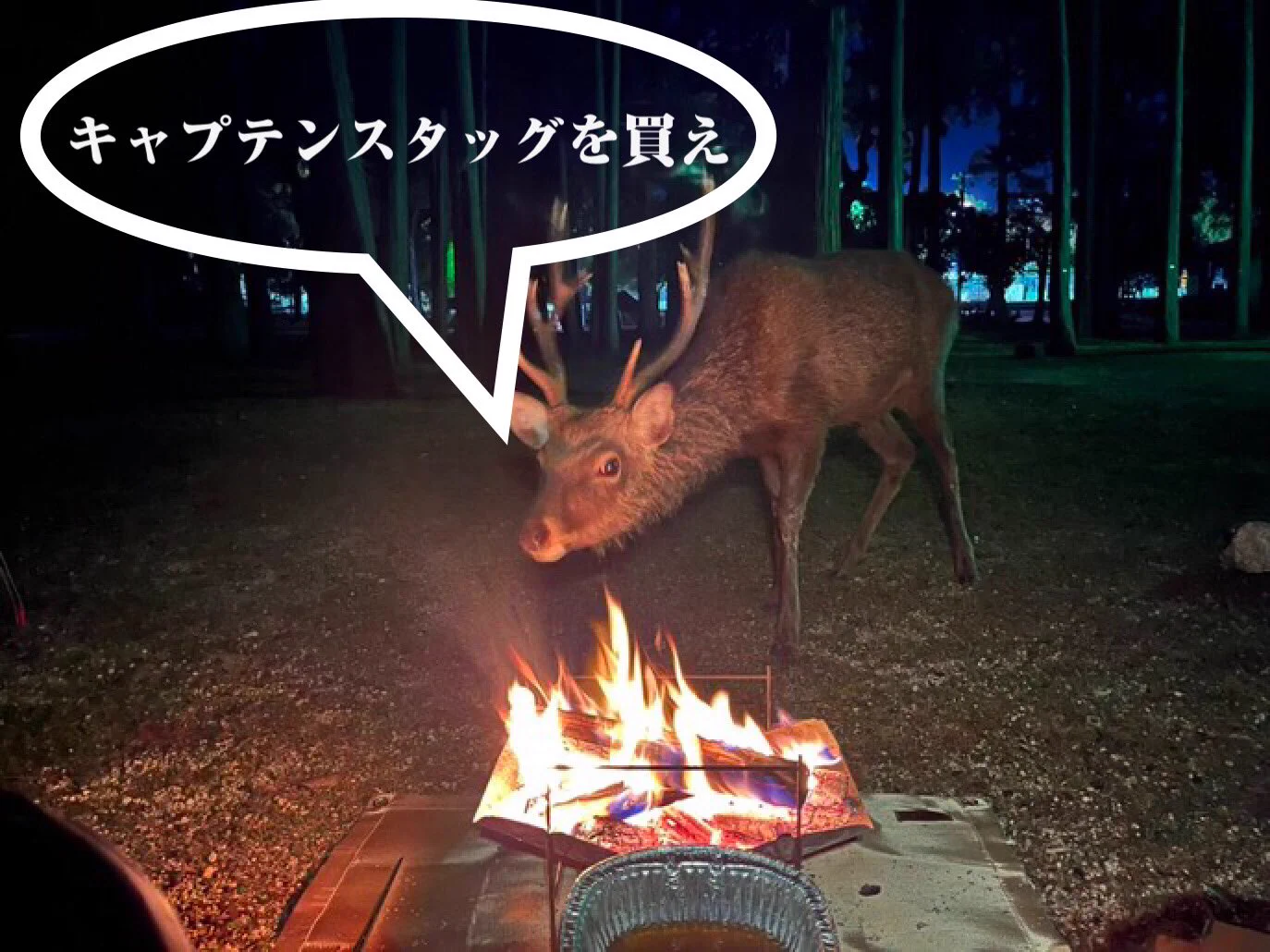 @ii_iron 脅されてる？ 