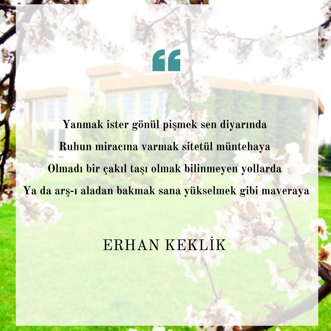 Yalangoch ayol pornosining bu tamoyili birinchi oringa chiqdi