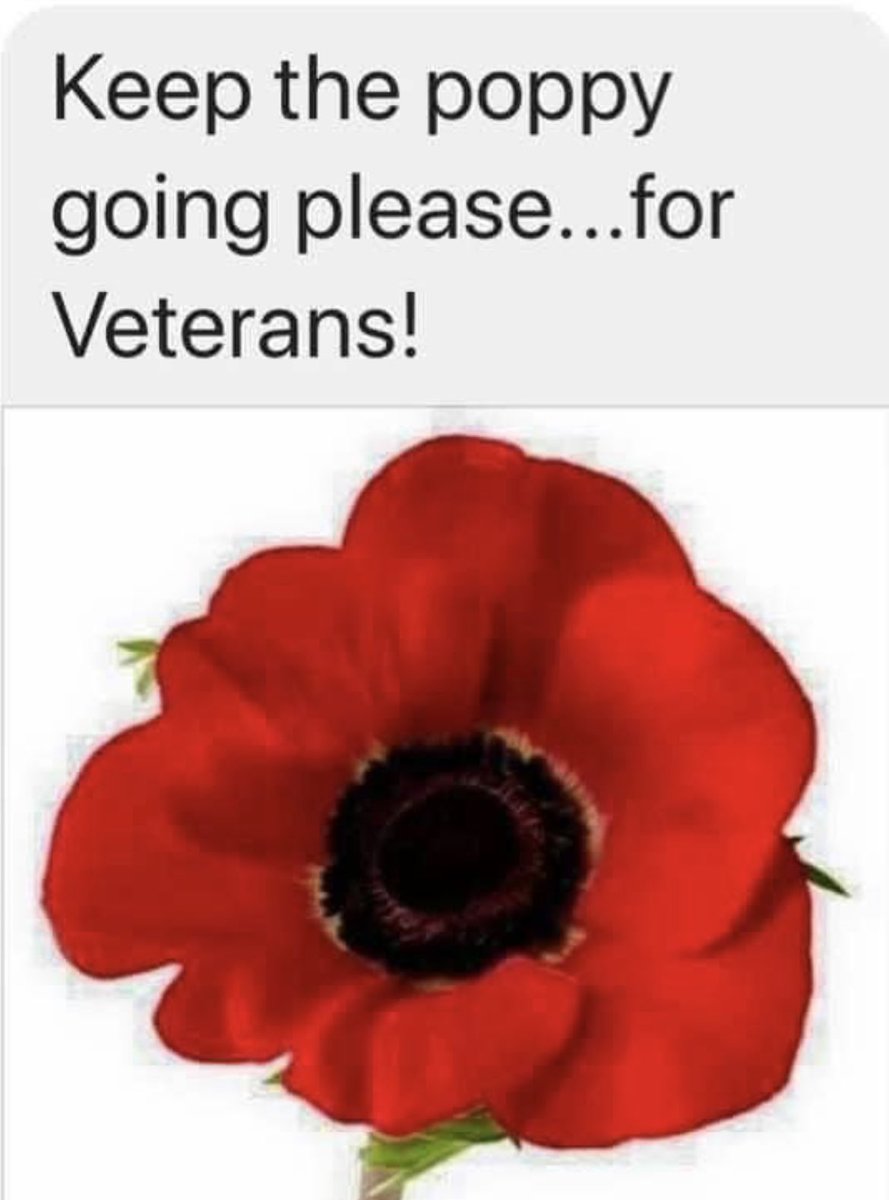 Remember Freedom isn’t free. It comes at a high cost.