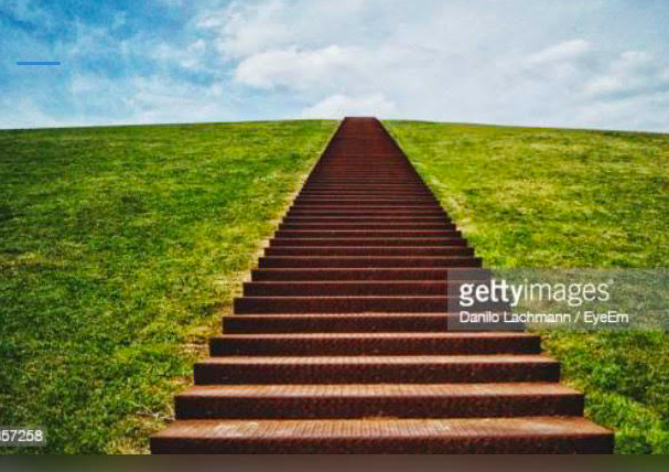 danunmasked's tweet photo. Stairs I imagined Dan Andrews fell down vs the stairs he actually fell down. #DanAndrewsUnmasked #DumpDan #DanAndrews #StepDownDan #StairMasterDan #GeoffShaw 10% OFF for Twitter friends promo code 'TWITTER'. https://t.co/VIF8RrpHe6 https://t.co/lVGjz2MMkd
