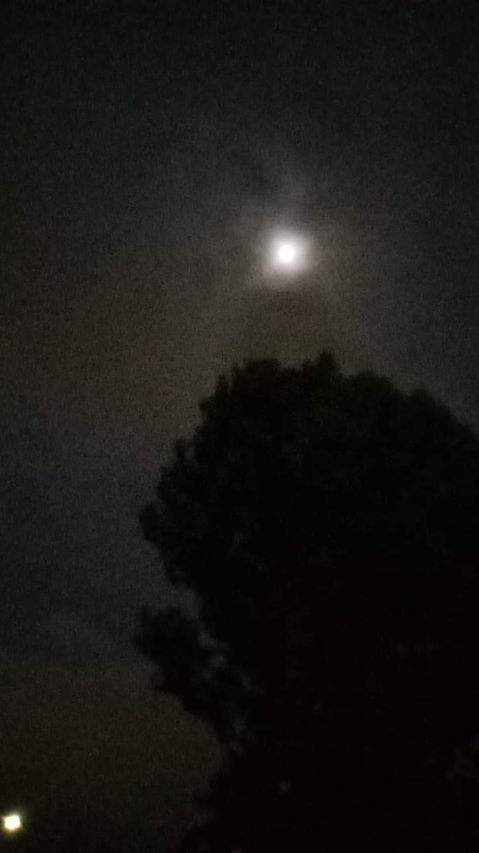 HecateBlessings's tweet photo. A photo I just took outside in the backyard where I live.The moon shining behind the clouds behind a tree.
Two days before the lunar eclipse.
🌒🌒  #paganmoon #witchmoon #lunareclipse2022 https://t.co/FuVll258pJ