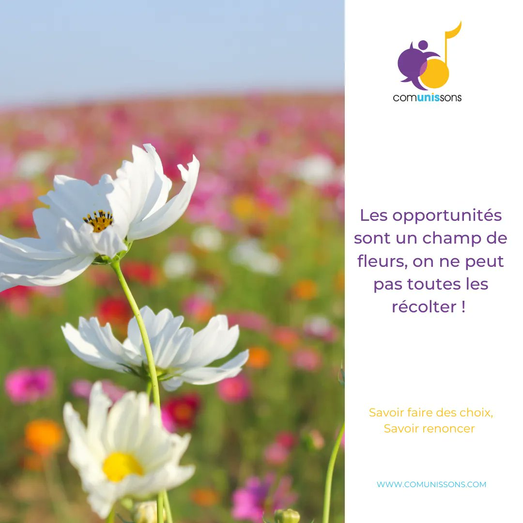 Carole Fortuna tweet media