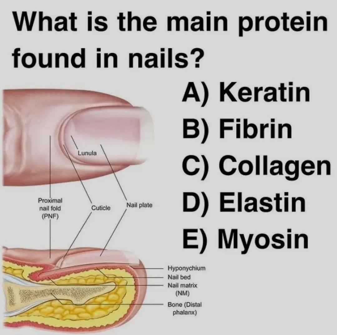 #TodaysQuiz

Answer this question ❓❓