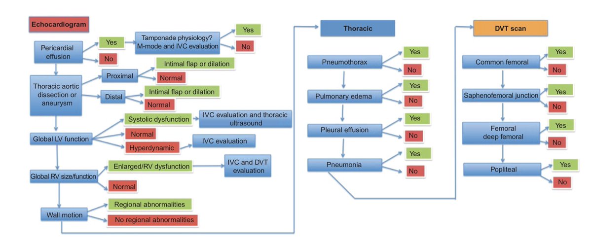 Undifferentiated chest pain #POCUS  algorithm.
DVT, deep vein thrombosis; LV, left ventricle; RV, right ventricle; IVC, inferior vena cava.
🔗 dovepress.com/bedside-echo-f…
#IMPOCUS #MedEd