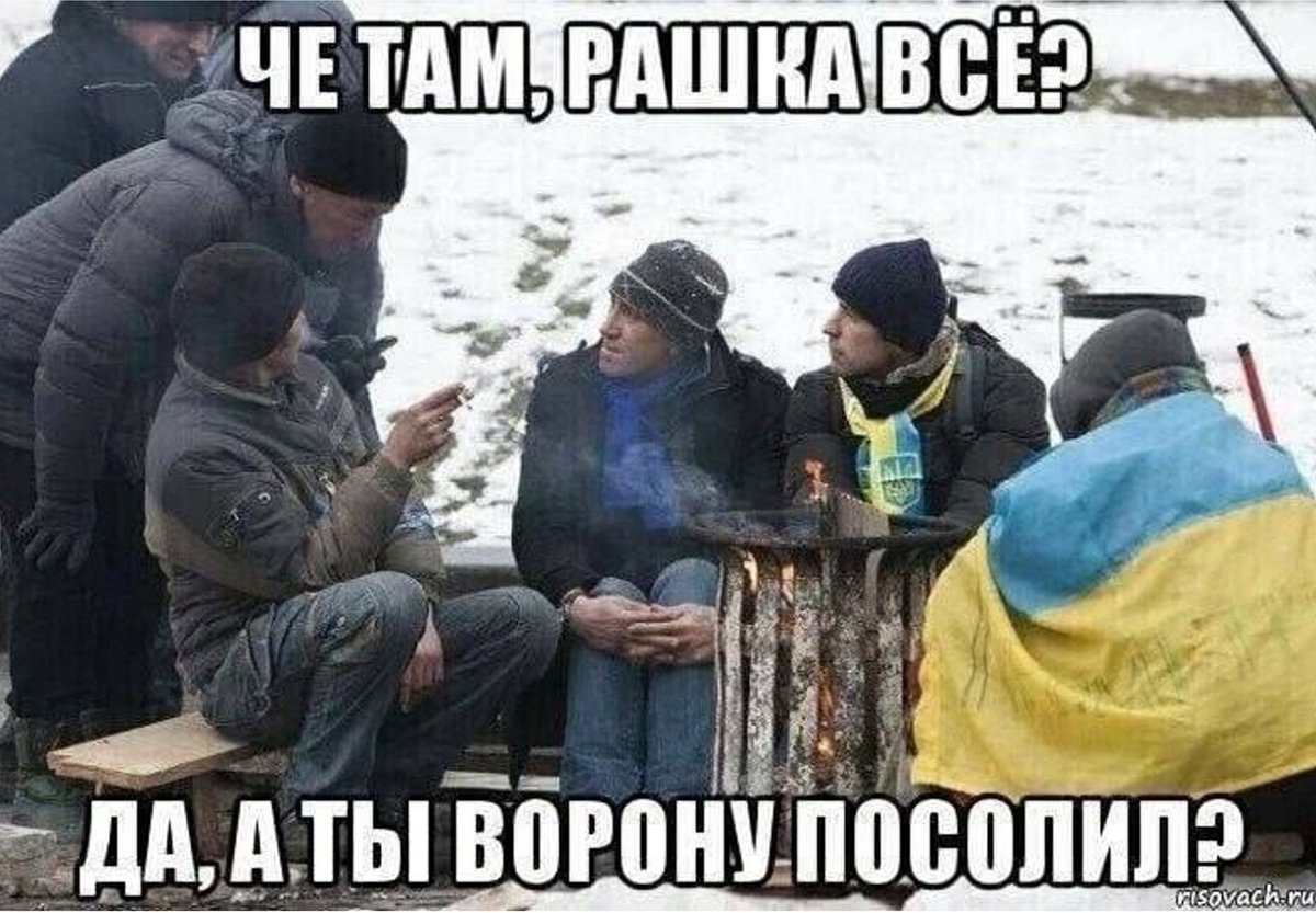 Пьяный Шваб (@shwab_is_ded) on Twitter photo 