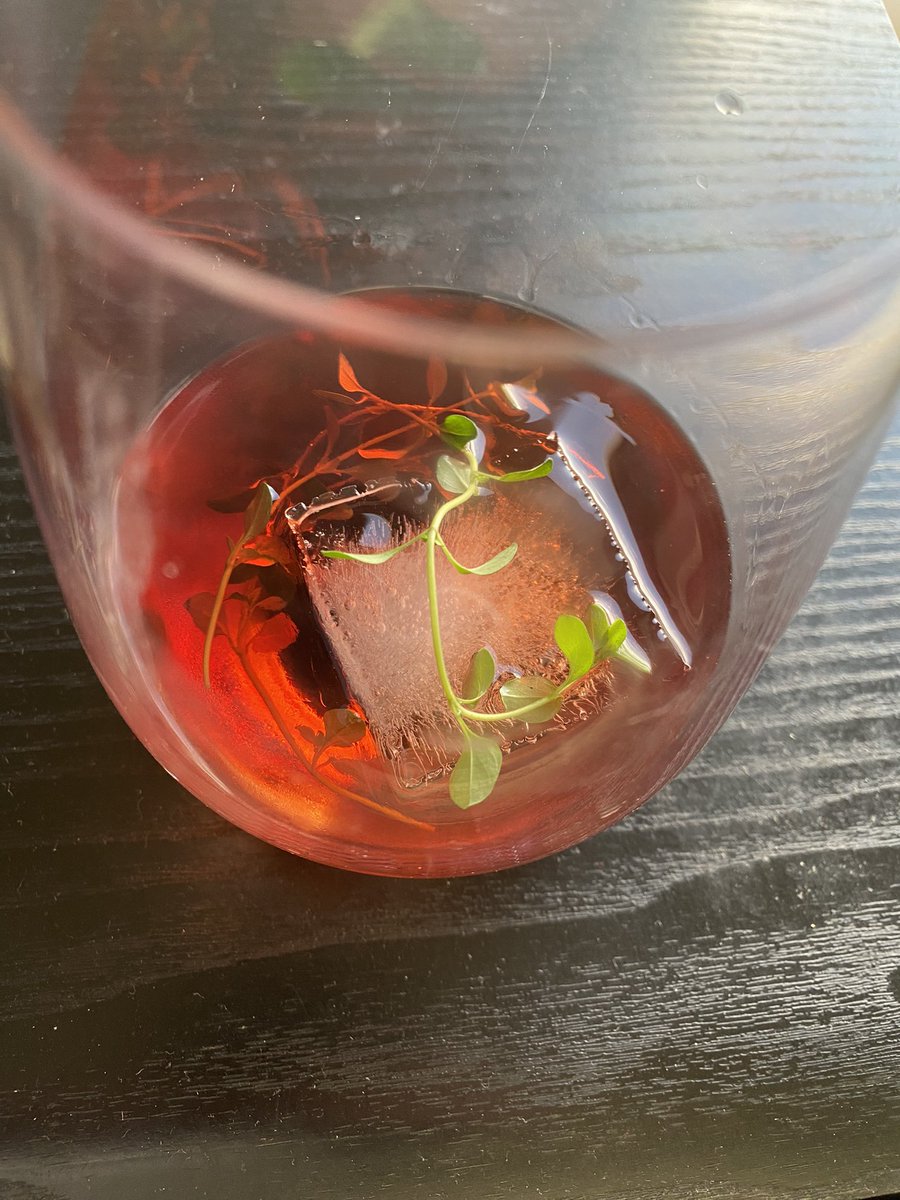 TuesdayNiteMike's tweet photo. #Negroni Thyme @NegroniProject https://t.co/DcyfeYY20E
