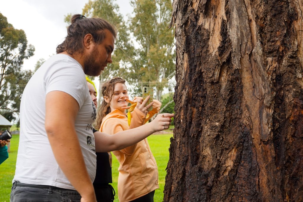 looking for bugs while on a road trip!! my priorities are set