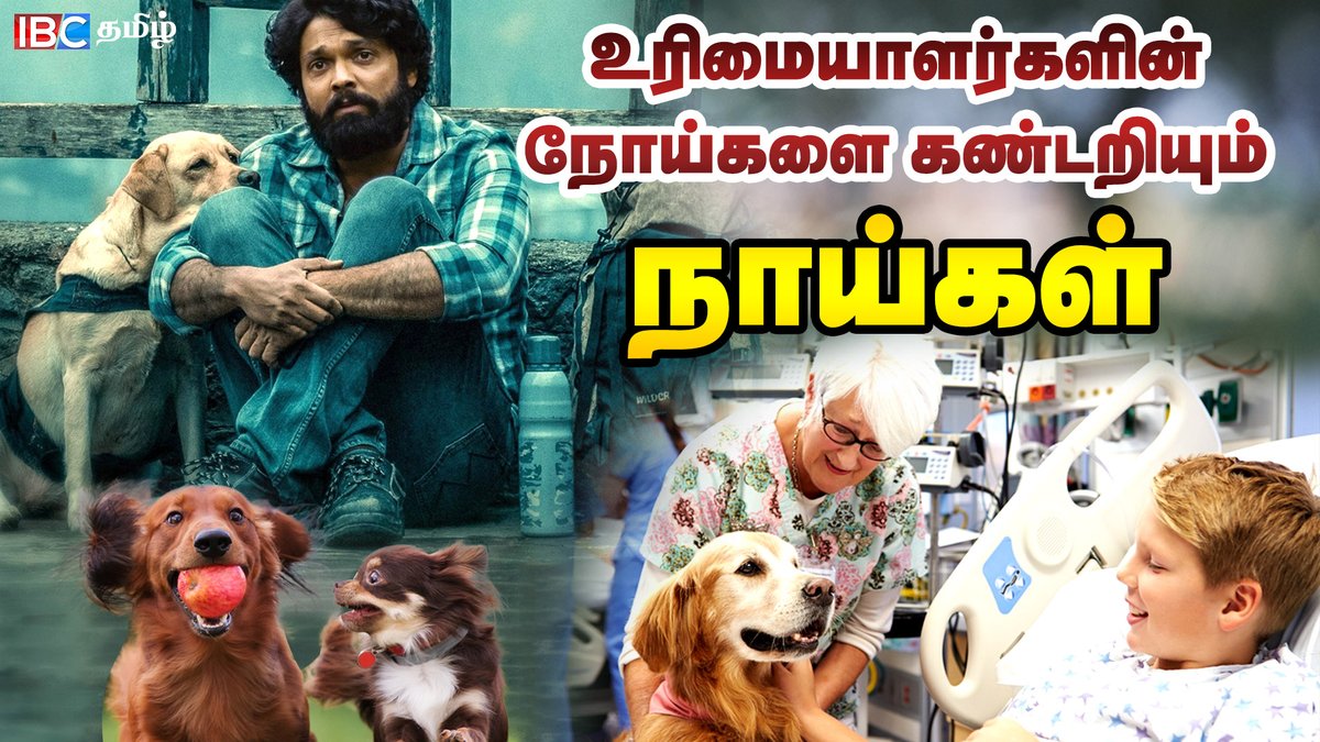 ibctamilmedia's tweet photo. Cancer-ஐ குணப்படுத்த உதவும் நாய்கள் | Unknown Dogs facts in tamil | Max and Charlie Dog | IBC Tamil
Link >>> https://t.co/cnys5fSRVP
#Ibctamil #Dogsfacts #Cancerfacts #Max #Charlie https://t.co/WpHWJCREjQ