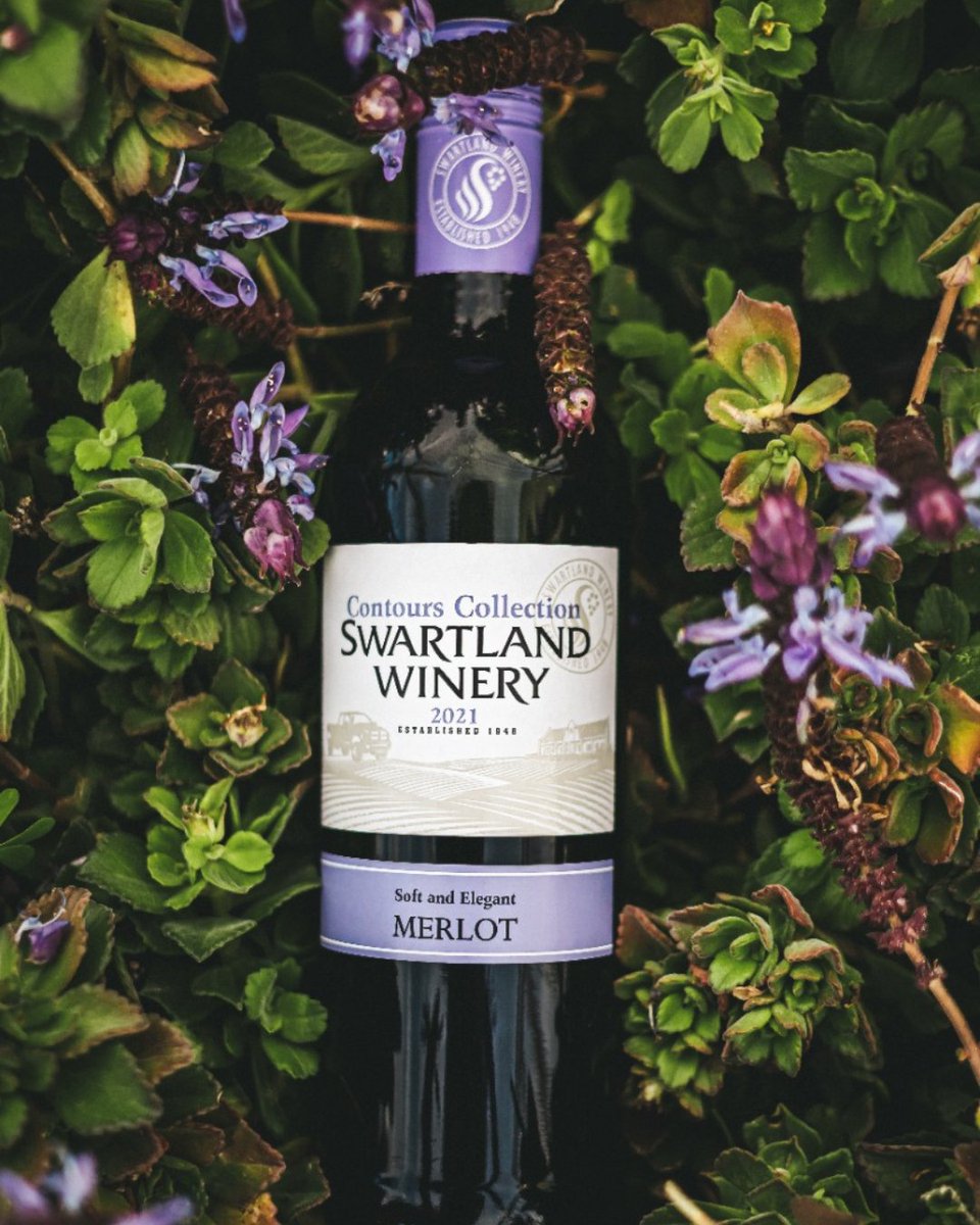 It's International Merlot Day🍷! Let's toast to this fantastic varietal! Let your day be as smooth and soft as our Merlot. Experience each variety's true character &amp; complexity as the wine develops in your glass. Small berries big taste!

#SwartlandWinery #internationalmerlotday