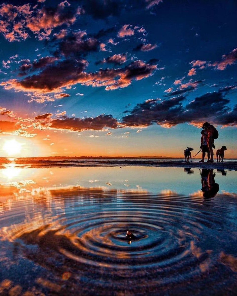 hi_wallpaper's tweet photo. sunset https://t.co/UdDiGfNPGO