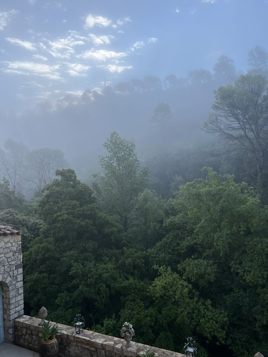 wolf_sebastien's tweet photo. @GinieFimo Brume du matin dans le Var https://t.co/J4400Lf2g4