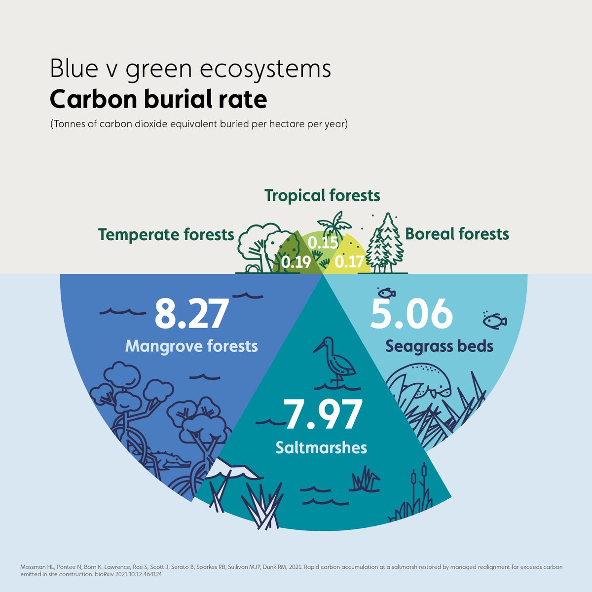 This graphic shows the impact of 💧 vs 🌲 when it comes to carbon capture. Please share 🔁 to spread the word about why we need more wetlands! #BlueCarbon #WetlandsCan #COP27