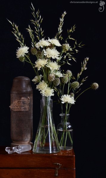 Guten Morgen! Tiny Bouquet No. 67 aus Gelben Scabiosen feiert den Lebenszyklus von der Jugend bis zur Reife, denn Schönheit und Eleganz sind keine Frage des Alters.
#TinyBouquets #StillLife #flowerphotography