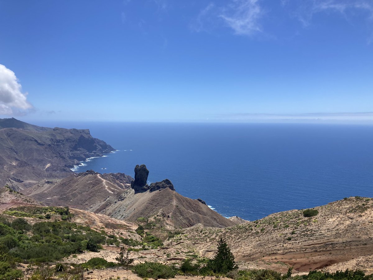 Helen Roy tweet media