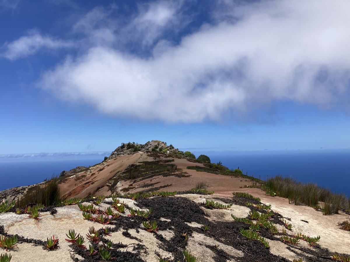 Helen Roy tweet media