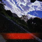 ツイートに含まれる画像