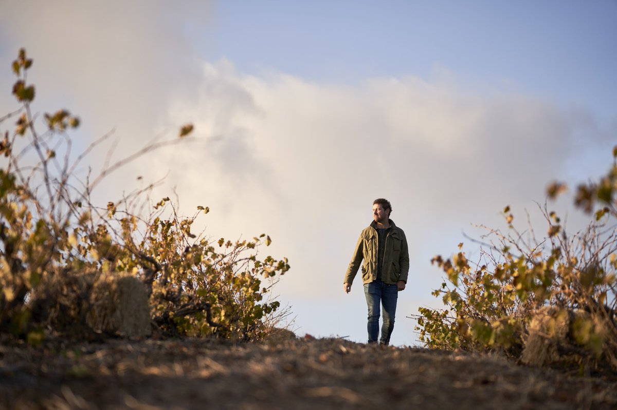 Hawk + Schoon Wine Bar tweet media