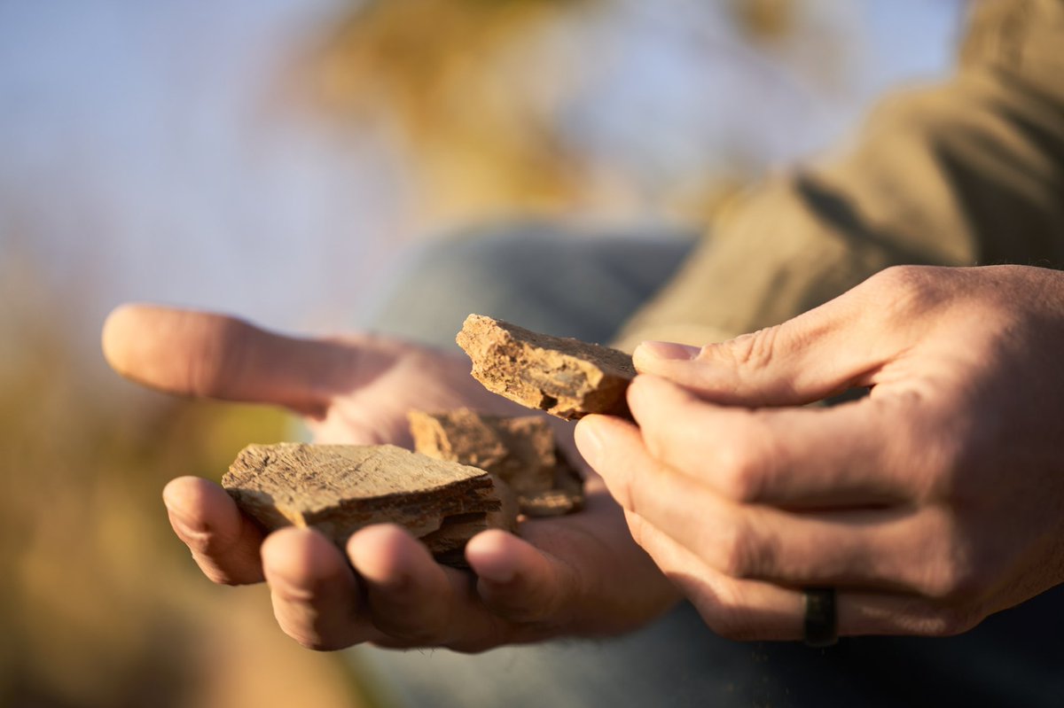 Hawk + Schoon Wine Bar tweet media