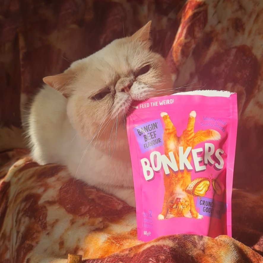 Murple meowface tweet media
