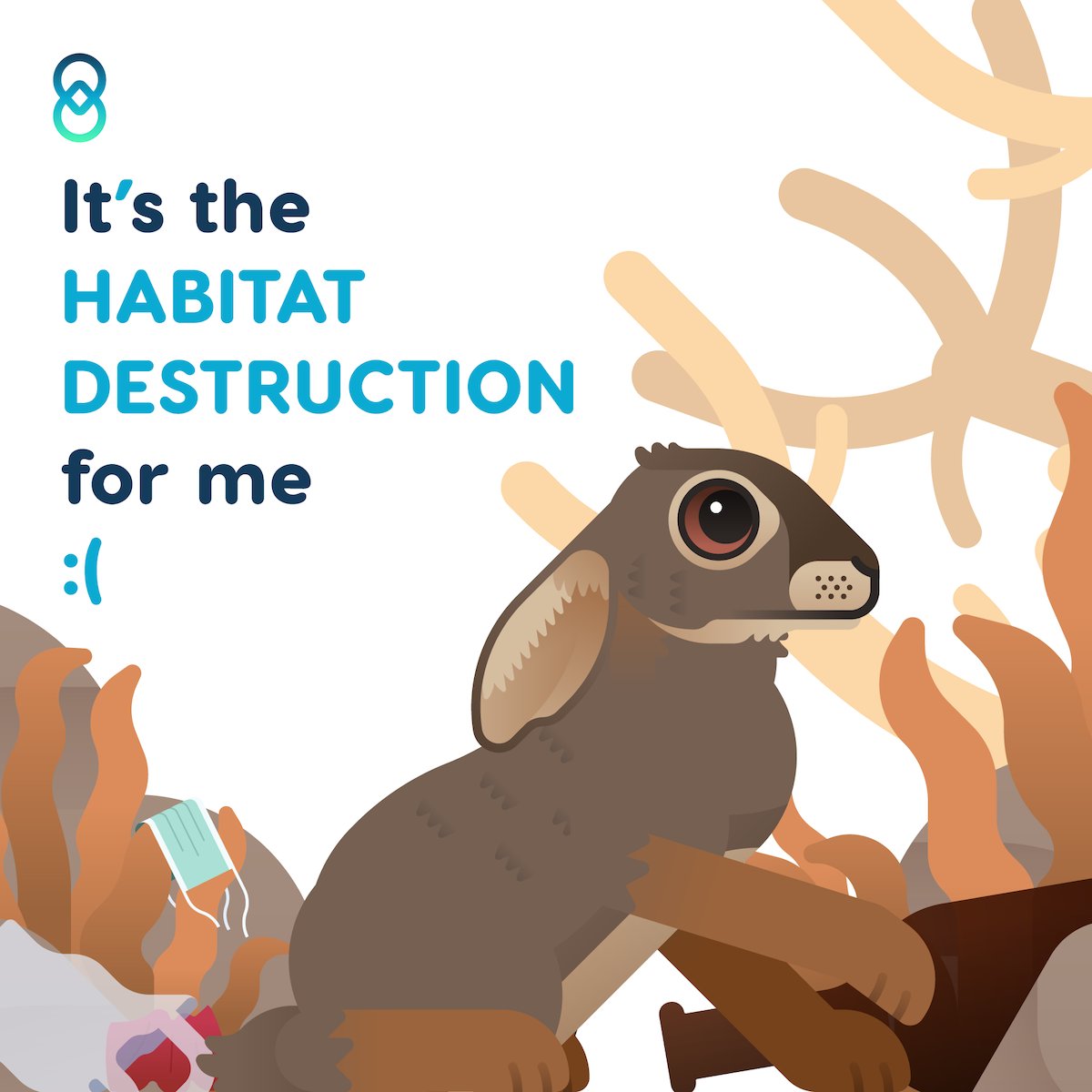 wildchainio's tweet photo. 3/3 🧵

🐰 It’s the destruction of habitat for me 🐰

Riverine rabbits are unfortunately extremely rare and critically endangered. Their biggest threat is habitat destruction. 
#endangeredanimals #IUCNredlist #itstheforme #savetheplanet #rewildtheworld https://t.co/nQxIJE1wYt