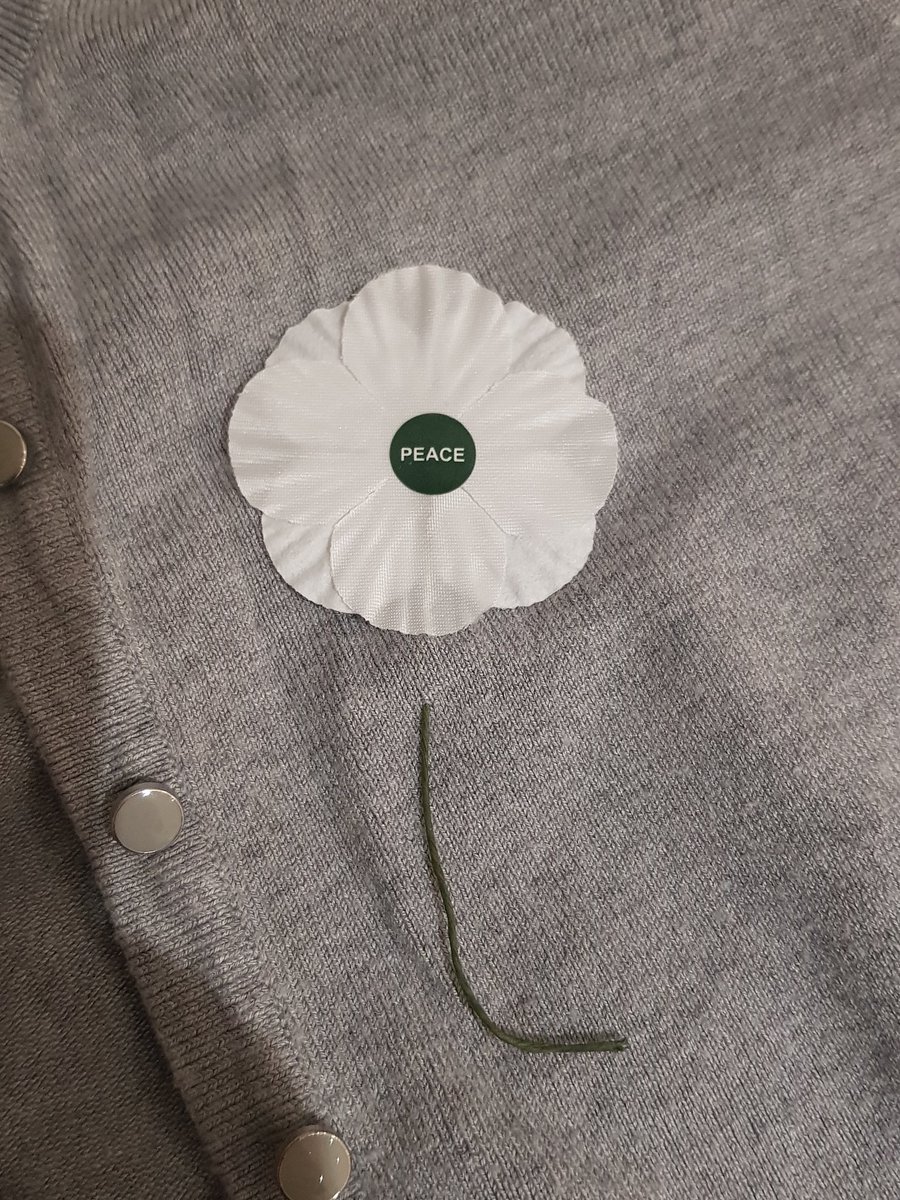 WheelerDax's tweet photo. I wear a white poppy for peace.
I want to pay my respect to those who lost their lives to war, but I also wish to distance myself from the rampant nationalism and militarism associated with the traditional red poppy. #whitepoppyforpeace #whitepoppy #RememberanceDay https://t.co/t8OeUPerR5