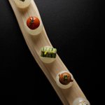 ツイートに含まれる画像