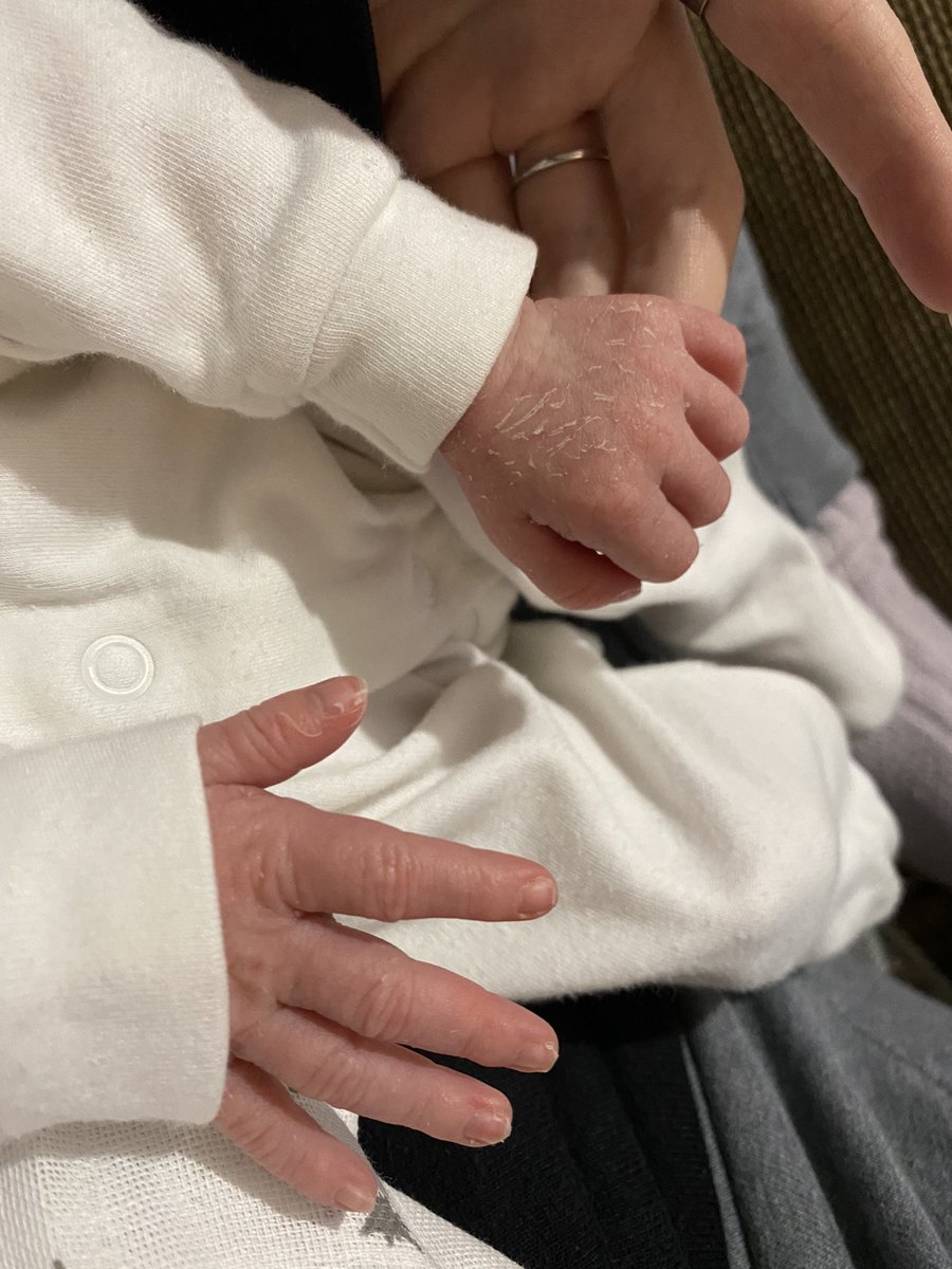 blubglum's tweet photo. I love the little family that I created. 7/8 years ago I was on Twitter fantasising of all the things I wanted to have with Charlie and now it's reality and it still gives me butterflies. Our baby is perfect and I couldn't have done it without him. https://t.co/6NdYKl0bM0