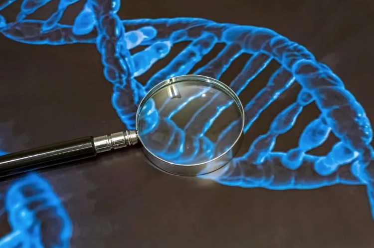 solutionscareuk's tweet photo. Researchers have now discovered five gene variants that are unique to only one of the two #diagnoses, as well as seven genetic variants that are shared by both #ADHD and #autism https://t.co/ygeP2xn7XJ https://t.co/XCyTr0veb0