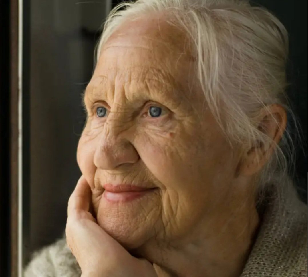 Laura 🐷🐸🐞🐍☯️ tweet media