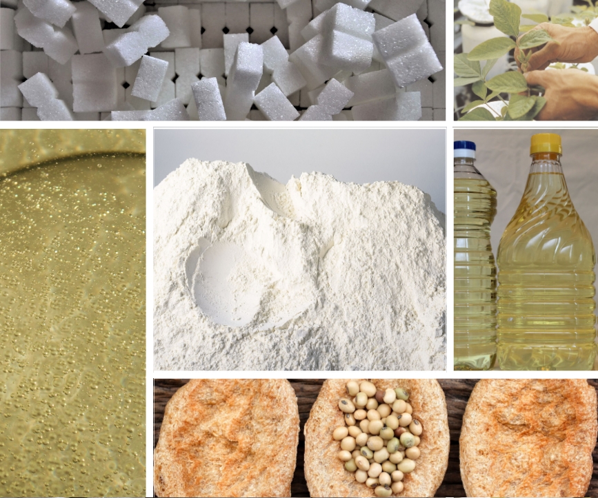 [1/7] Today PFP are holding their Annual Forum on “Rising to the challenges of climate change and energy supplies”. PFP invited experts, incl. Ricard Ramon, Deputy Head of Unit Policy Perspectives at <a href="/EUAgri/">EU Agriculture🌱</a>, to present their views on these pressing issues. #PFPForum2022