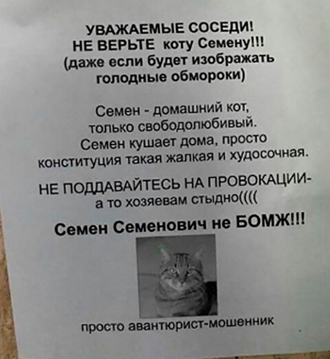 AngelPredohrani's tweet photo. Семён Семёнович не БОМЖ.. https://t.co/6fCkaaYYSW