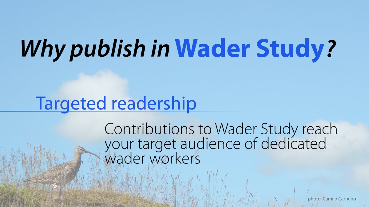 Why publish in Wader Study?

Targeted readership – Contributions to Wader Study reach your target audience of dedicated wader workers.
(5/9)
#waders #shorebirds #ornithology