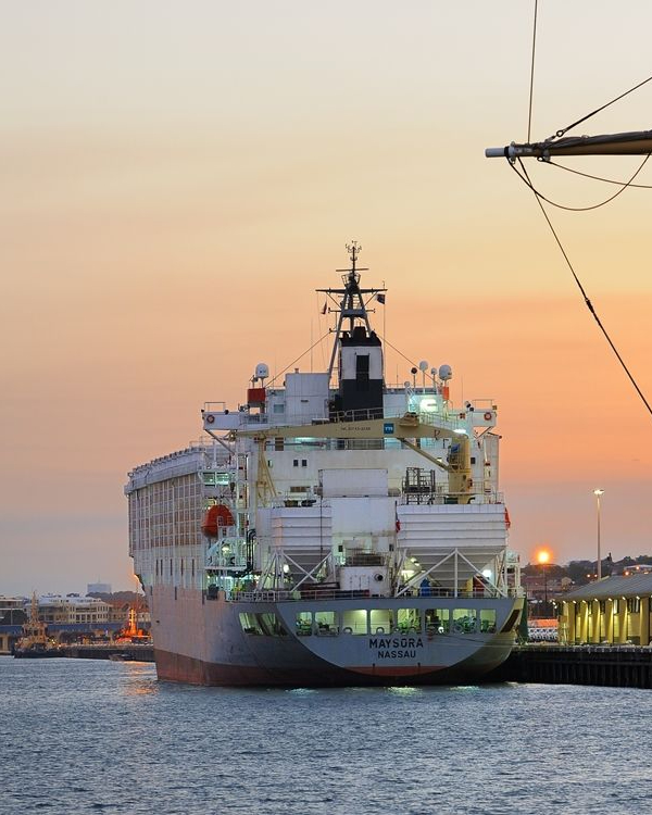 Visit Fremantle tweet media