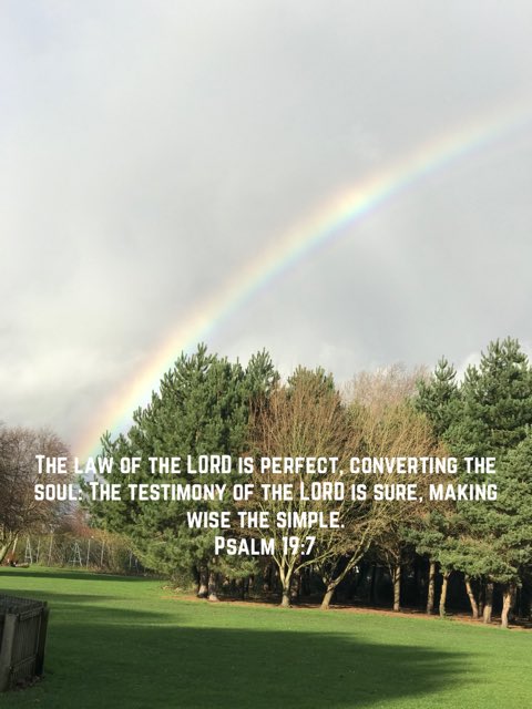 bible.com/bible/1/psa.19…