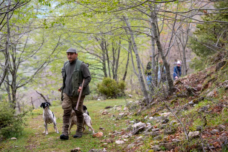 Truffle_Hunt's tweet photo. Truffle hunting in Umbria https://t.co/UvOLiVEqfB #truffles #trufflehunt #trufflehunter #foodie #restaurants #Umbria #Italy #dogs #dogsoftwitter https://t.co/rodSUABJgs