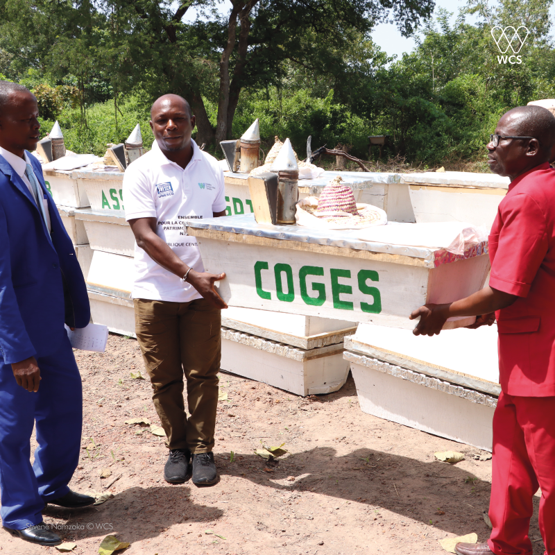 WCS République Centrafricaine tweet media