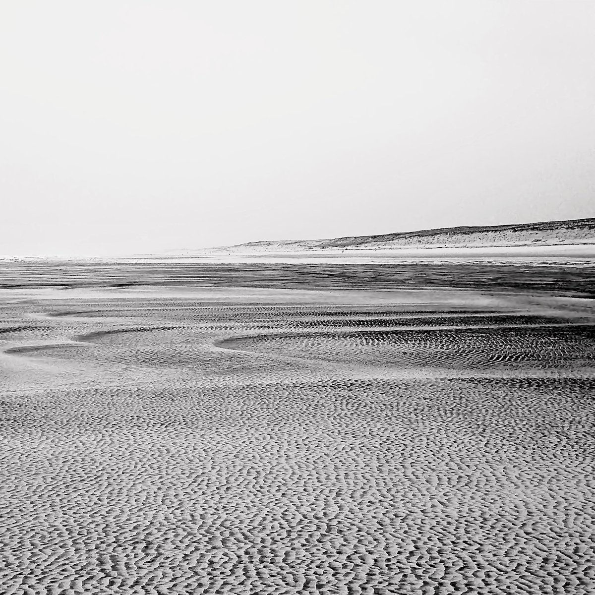 LEMARCHANDMart2's tweet image. "If you change the way you look at things, the things you look at, change."
Albert EINSTEIN
« Si vous changez la façon dont vous regardez les choses, les choses que vous regardez, changent. »
#fineartphotography #lowtide #sandpatterns  #intimatelandscapes #lesfrancaisesmagazine