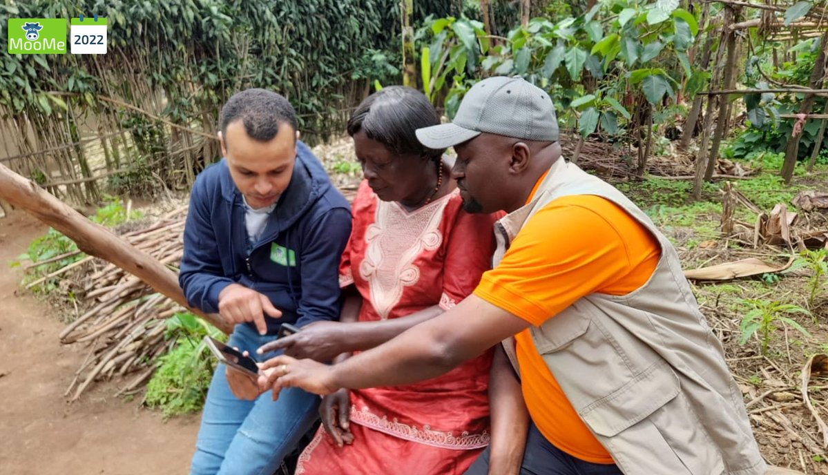MooMeOfficial1's tweet photo. Today, we have more than +2,000 connected farmers and advisors (From Dairy and Feed Industries, Vets, Agronomists, Extension Agents, ...) and +4,000 monitored cows on our platform across the African continent.
#MooMe #AgritTech #Africa #Cow #Milk https://t.co/KPGZ9l2Lho