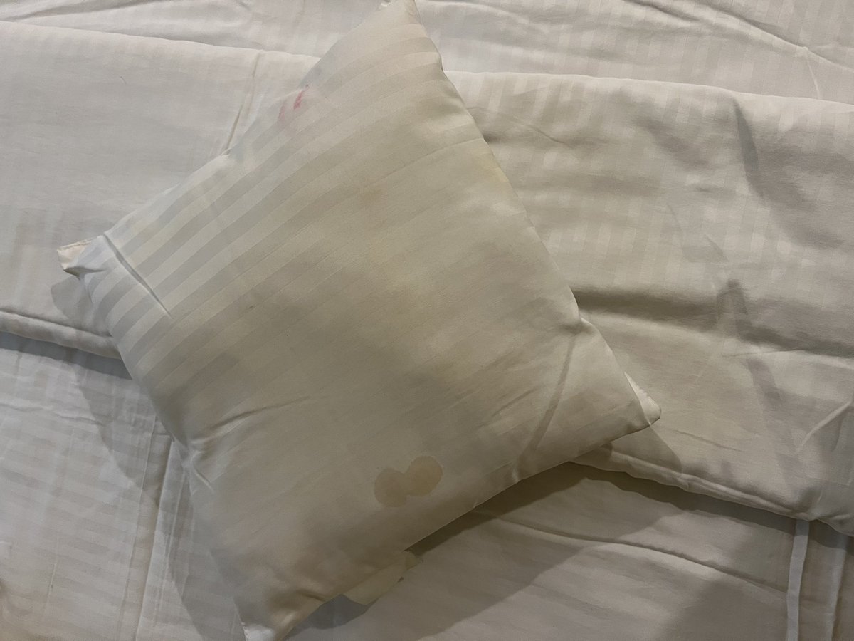 rhythm_nagi's tweet photo. @makemytripcare I’ve been cheated &amp; badly harrased by mmt. I paid ₹4551 to mmt &amp; booked cosmopolitan hotel in Jodhpur on 25th oct. which was really unhygienic. With immediate effect I had to leave the hotel but mmt is not refunding my amt. with clear intentions of defrauding me. https://t.co/GXdLp4XCbq