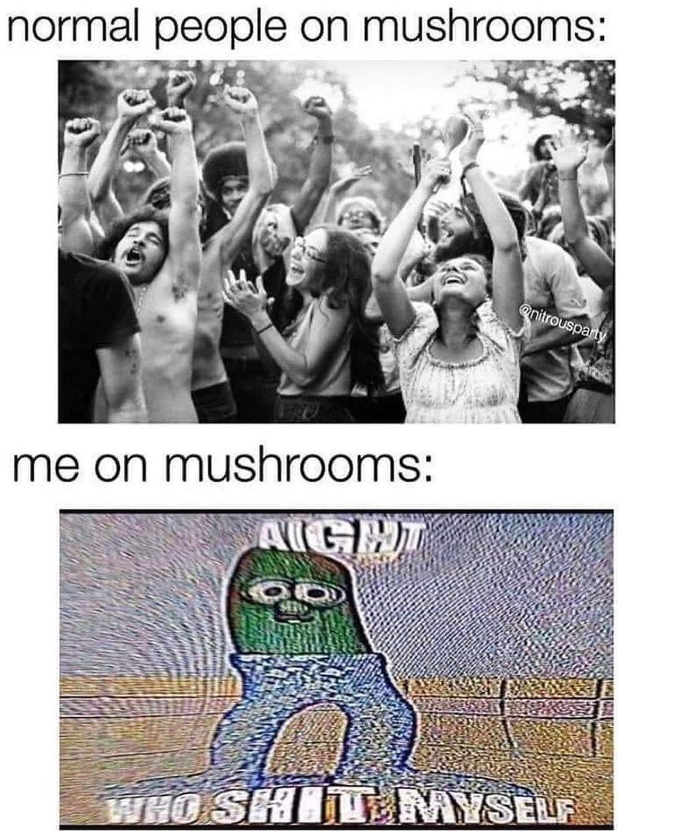 BrainAlienated's tweet image. 👽🌈