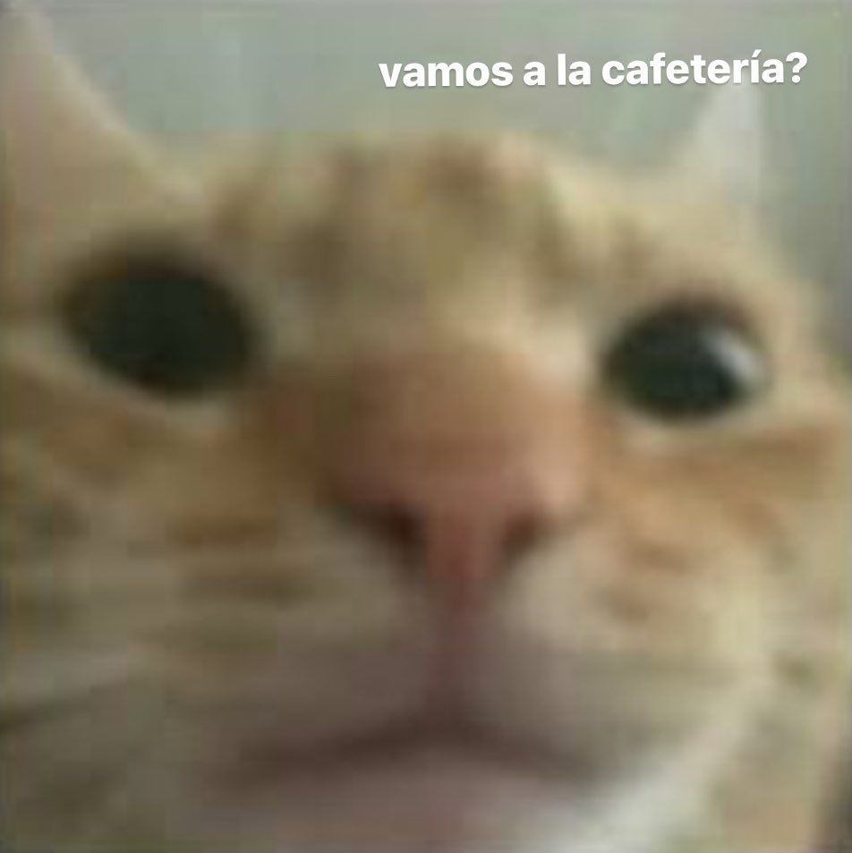 mi amiga: *respira*

yo: