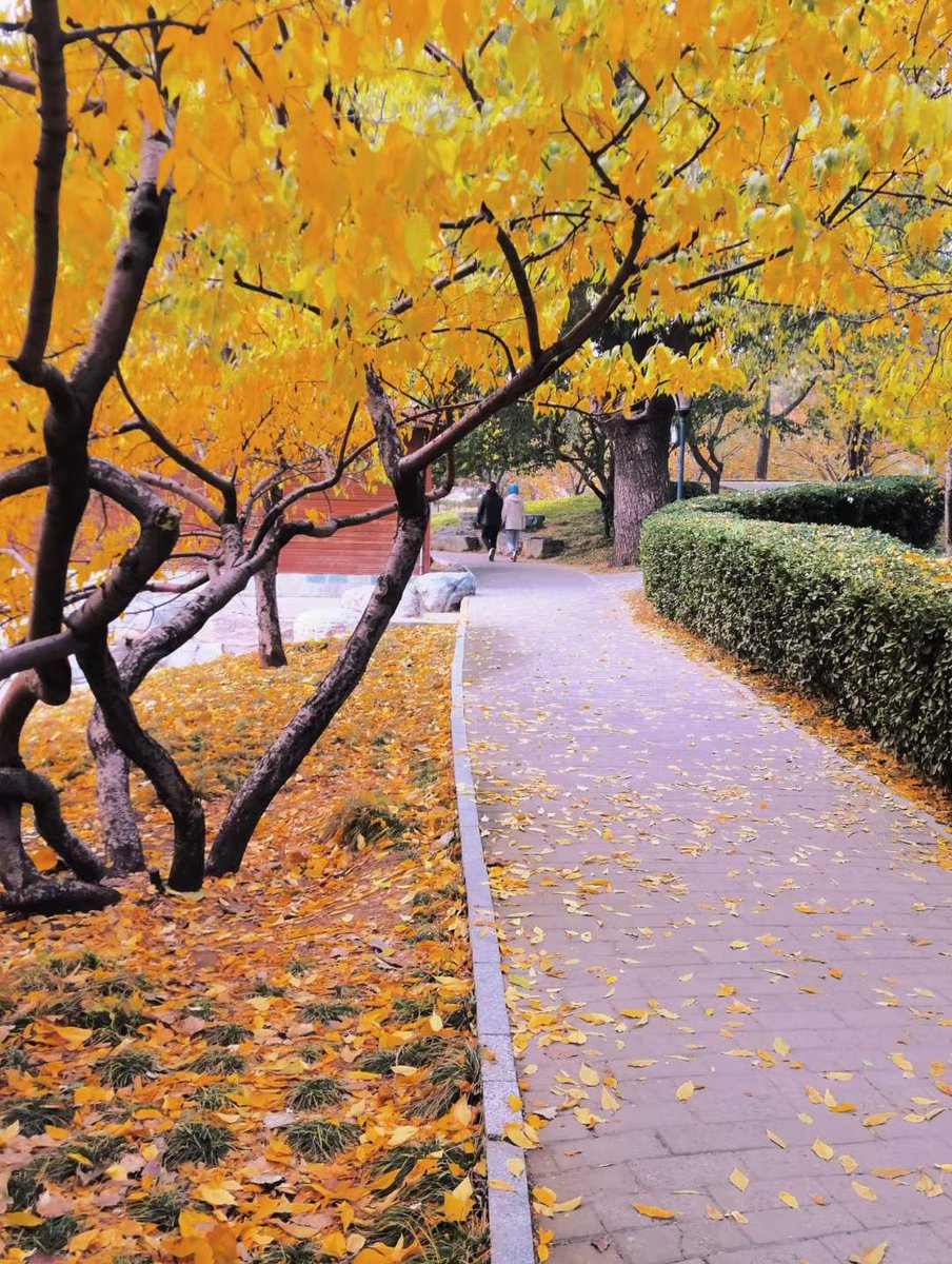 L'automne à Pékin