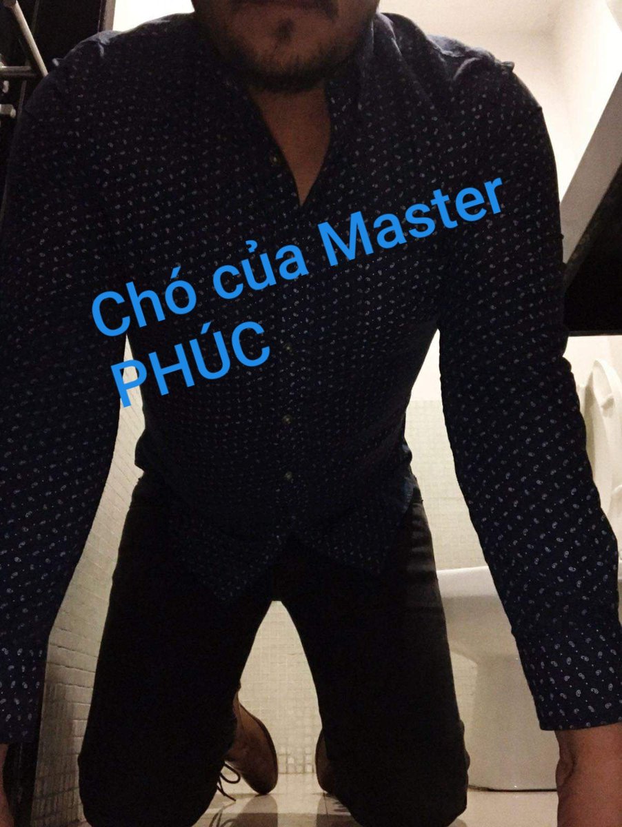Súc Nô to cao men Cũng  Quỳ xin làm Chó của CẬU PHÚC , Chó như vậy CẬU  mới hứng kkkk
